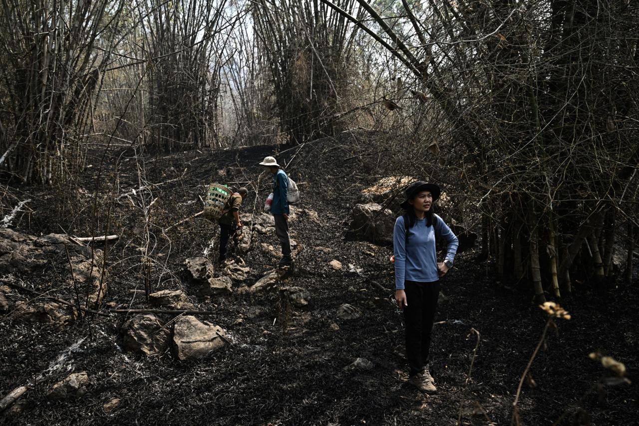 2025 likely among three hottest years on record: UN